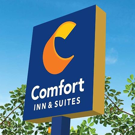 Comfort Inn & Suites Newark Liberty International Airport Bagian luar foto