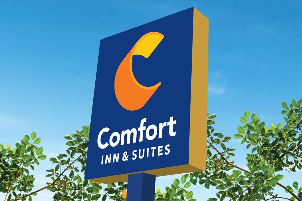 Comfort Inn & Suites Newark Liberty International Airport Bagian luar foto
